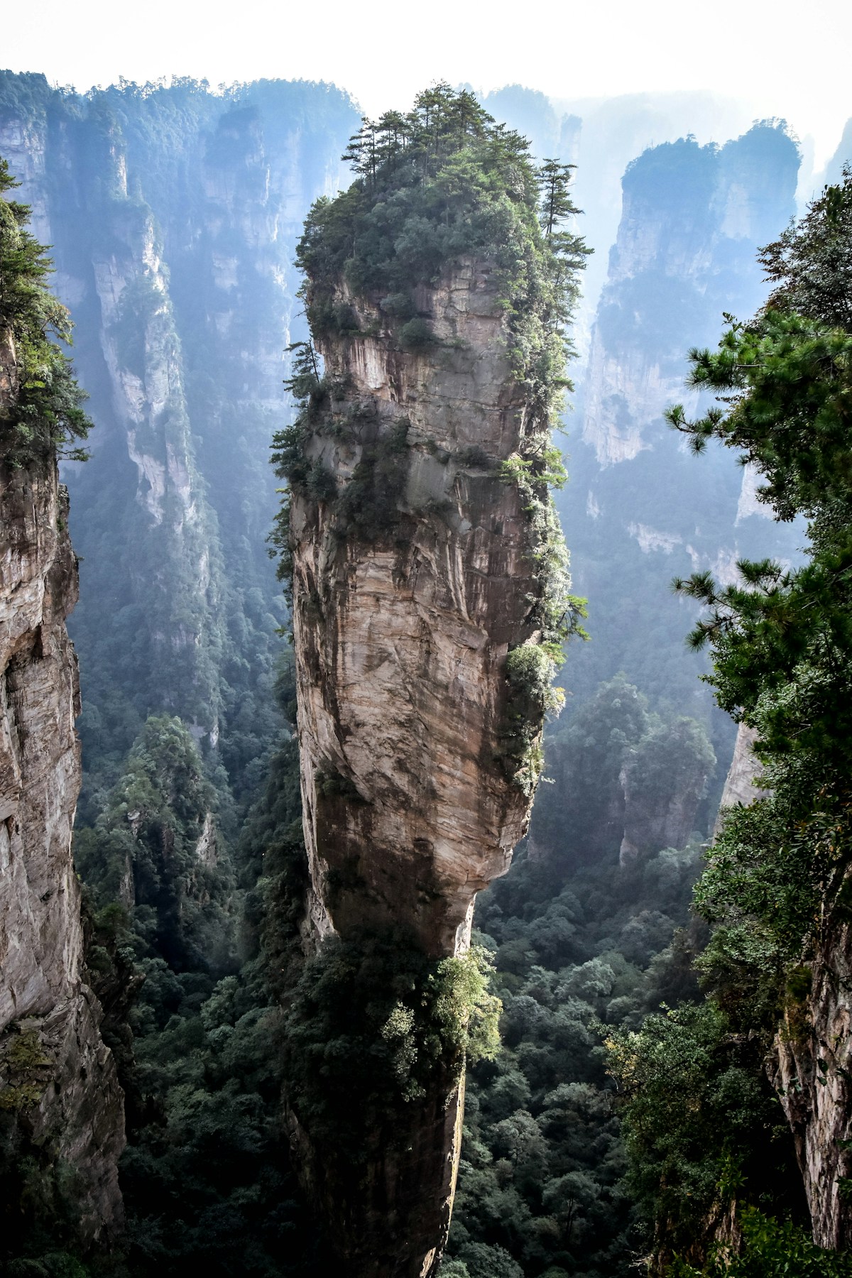 Panoramic sandstone pillars of Zhangjiajie National Forest Park