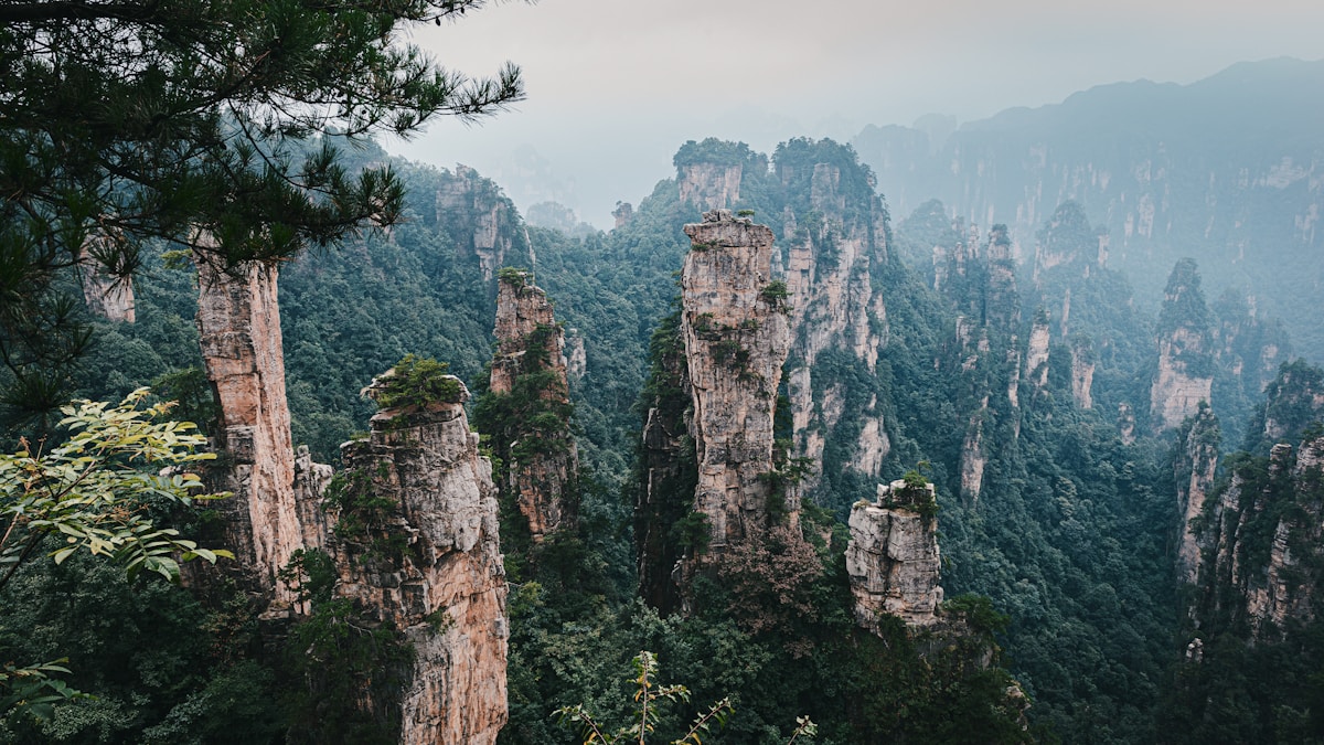 Hiking trail winding through Zhangjiajie forest