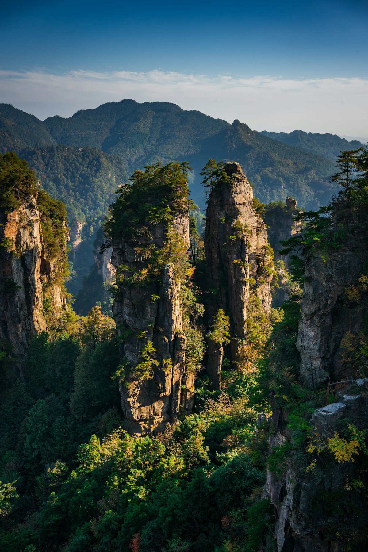 Close-up of towering Zhangjiajie sandstone pillars rising above lush green forest canopy
