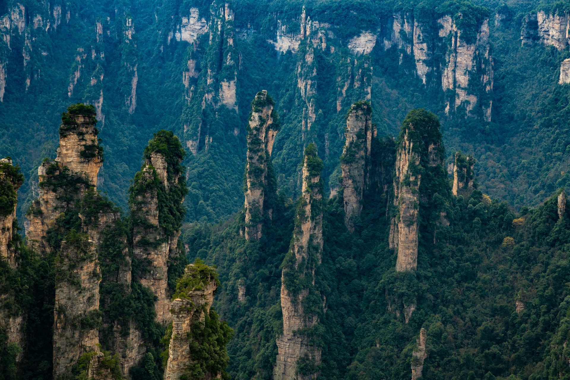 Avatar Hallelujah Mountain sandstone pillars rising through misty clouds in Zhangjiajie National Forest Park